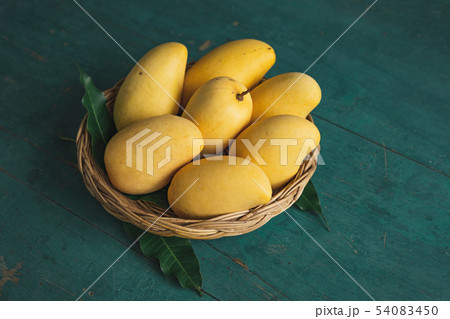 Yellow mango In the Yellow manbasket on green wood 54083450