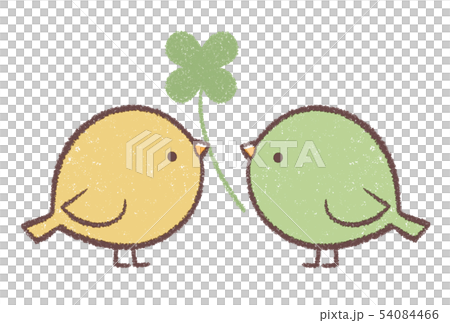 小鳥夫婦三葉草 54084466