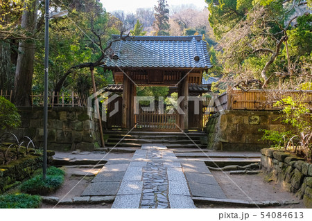 鎌倉 寿福寺 中門 54084613
