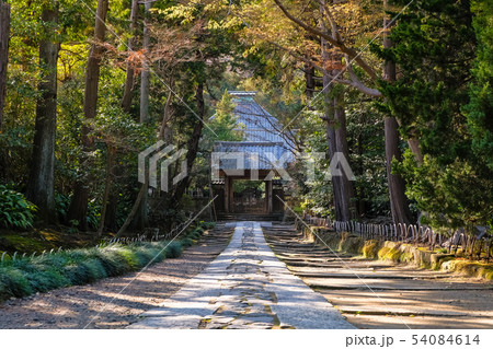 鎌倉 寿福寺 参道と中門 54084614