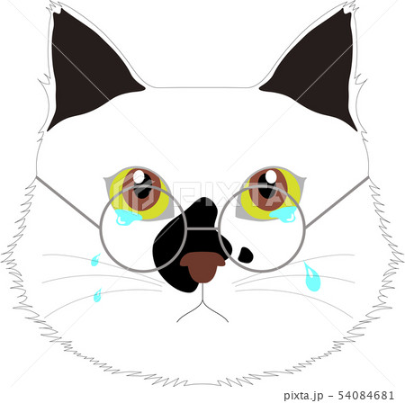 泣く猫 メガネ 涙のイラスト素材