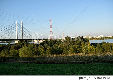 荒川河川敷 彩湖 幸魂大橋方面 荒川河川敷 彩湖 幸魂大橋方面 54084918