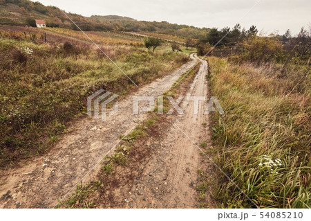 Dirtroad in the countryside Dirtroad in the countryside 54085210