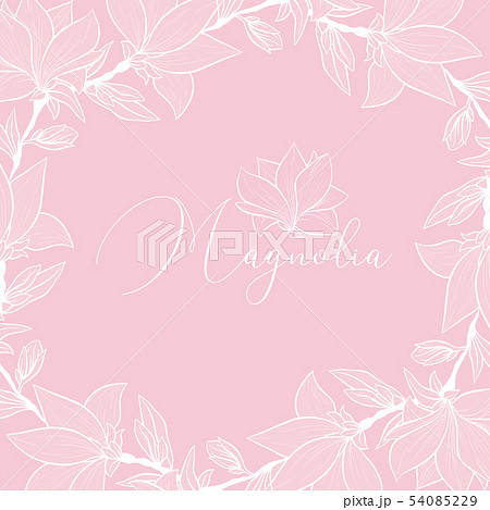Magnolia wedding flowers frame backdrop 54085229