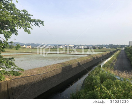 田んぼ 田んぼ 54085230