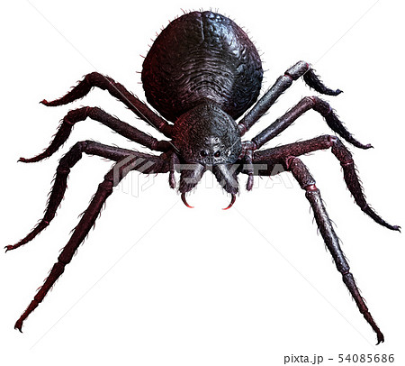 Giant Spider top view 3D illustration Giant Spider top view 3D illustration 54085686
