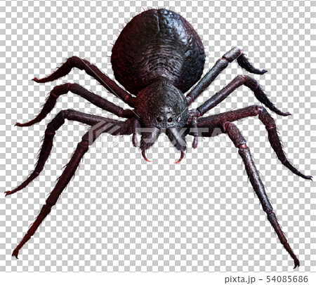 Giant Spider top view 3D illustration 54085686