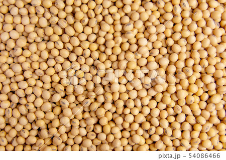 Soybean pattern as background 54086466
