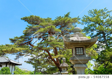 法隆寺　石灯ろう　松林 54087558