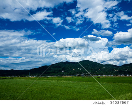 新緑の加波山、麓の水田 54087667