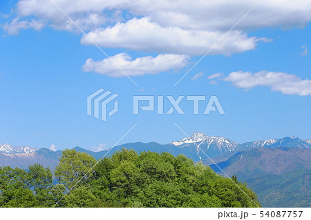 残雪の南アルプス塩見岳と新緑の木々 54087757