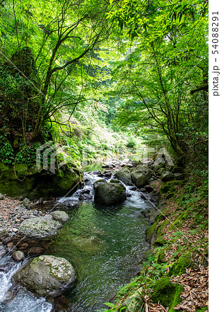 岩戸川渓谷 天安河原 54088291