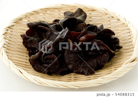 生きくらげ 54088315