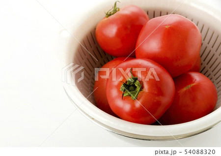 トマト 54088320