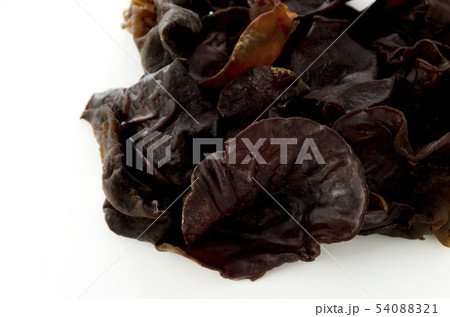 生きくらげ 54088321