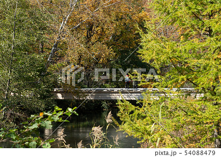 栃木県日光市 湯川 青木橋 (10月) ハイク 栃木県日光市 湯川 青木橋 (10月) ハイク 54088479