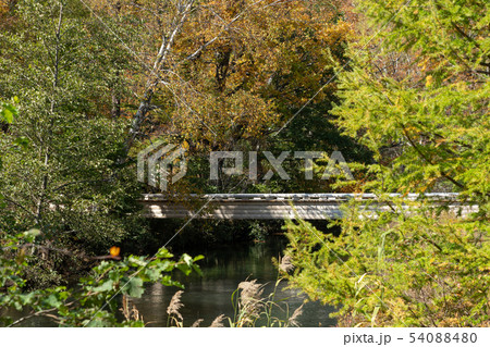 栃木県日光市　湯川　青木橋　（10月）　 54088480