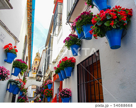 花の小径 54088668