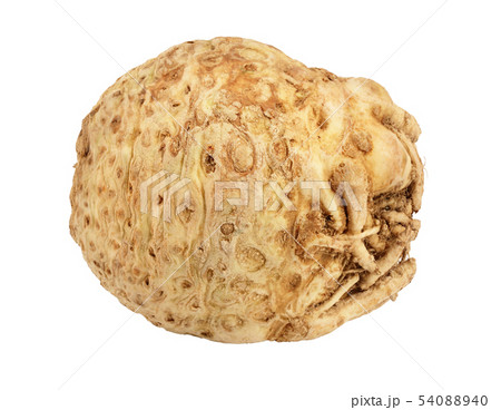 Fresh celery root isolated on white background 54088940