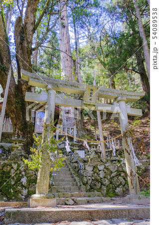 神坂神社(縦)2 神坂神社(縦)2 54089538