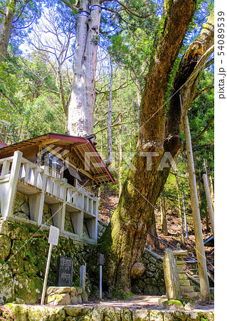 神坂神社(縦)3 神坂神社(縦)3 54089539