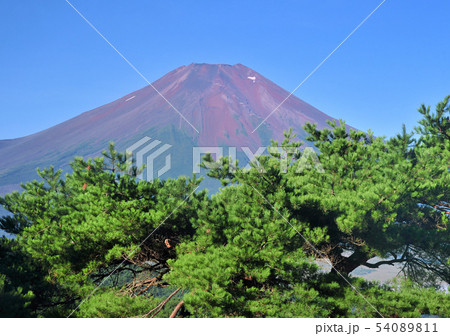 松と富士山-77905 54089811