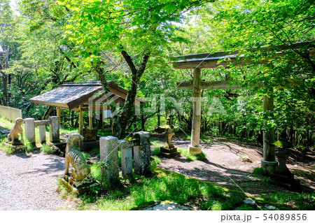 武甲山山頂・御嶽神社 54089856