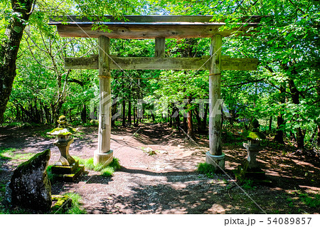 武甲山山頂・御嶽神社 54089857