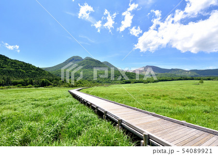 くじゅう長者原からの三俣山1745ｍ　タデ原湿原自然研究路　夏色のくじゅう連山　大分県九重町 54089921