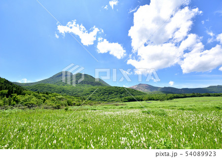くじゅう長者原からの三俣山1745m タデ原湿原自然研究路 夏色のくじゅう連山 大分県九重町 くじゅう長者原からの三俣山1745m タデ原湿原自然研究路 夏色のくじゅう連山 大分県九重町 54089923
