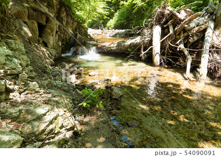 ブナの森の流れの透明な涼しい渓流とフライロッド ブナの森の流れの透明な涼しい渓流とフライロッド 54090091