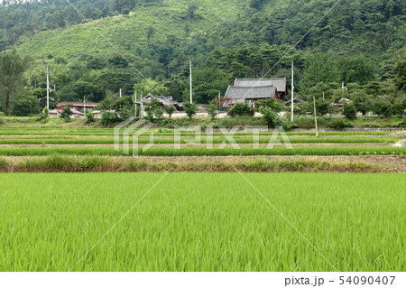 怒声郷校 韓国 忠南 54090407