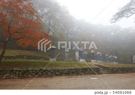 宗教 仏教 松広寺 54091066