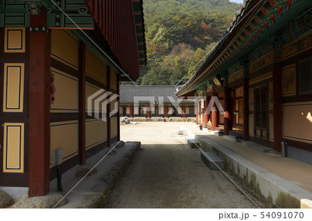 宗教 仏教 華厳寺 54091070