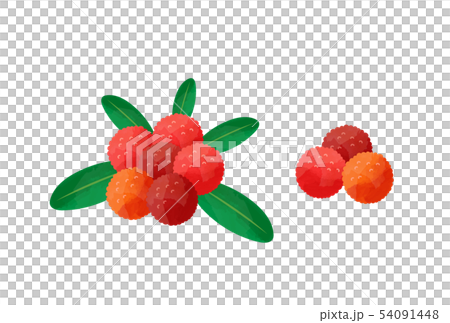 Yamamomo Yamamomo 54091448