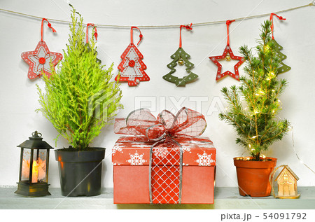 Still life with natural cypress and fir trees Still life with natural cypress and fir trees 54091792
