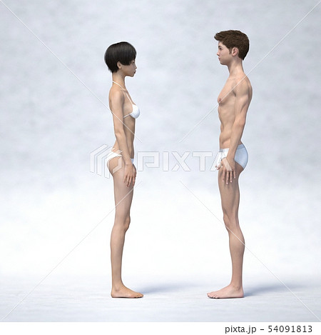 男女の体型 比較 ヌード 横向き Perming3dcg イラスト素材のイラスト素材