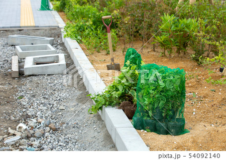 工事現場の植樹 54092140