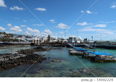 ガラパゴス諸島サンタクルス島 54092229