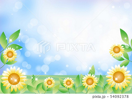ヒマワリと空_背景 54092378