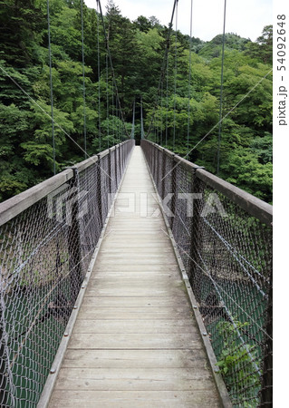 回顧の吊橋 回顧の吊橋 54092648