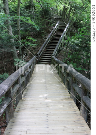 回顧の吊橋　遊歩道 54092651