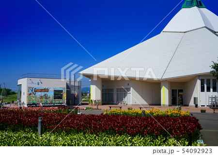 ゆりの里公園　ゆり 54092923