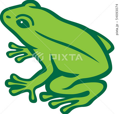 Frog Image Stock Illustration