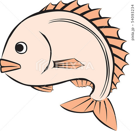 魚 魚類 目のイラスト素材