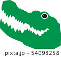 ワニ 動物 爬虫類 54093258