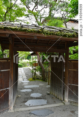 雨の水前寺公園 54094699