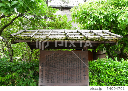 雨の水前寺公園 54094701