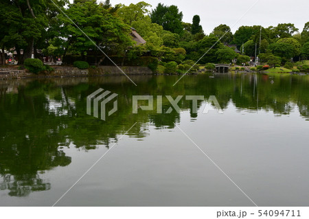 雨の水前寺公園 54094711