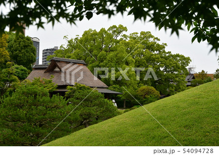 雨の水前寺公園 雨の水前寺公園 54094728